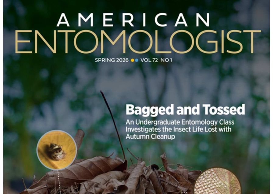 Magazine cover