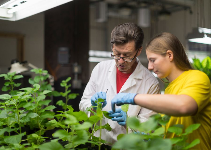 Bob Grebenok in lab with student 