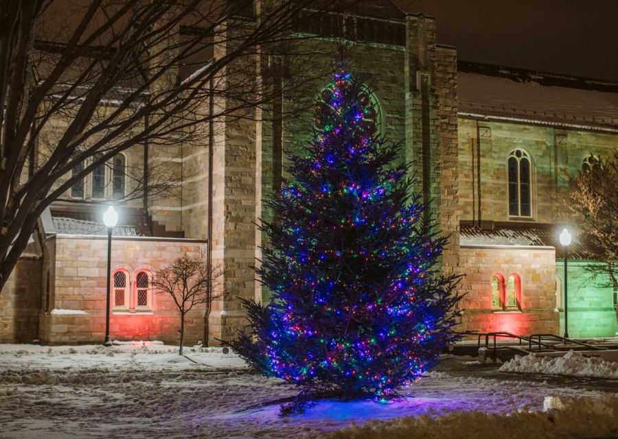 Tree Lighting